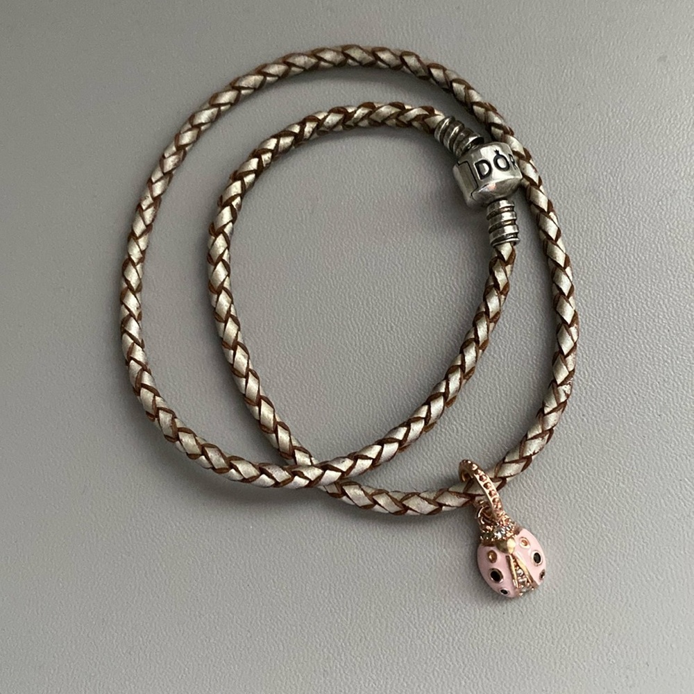 Pandora Bracelet and Charm